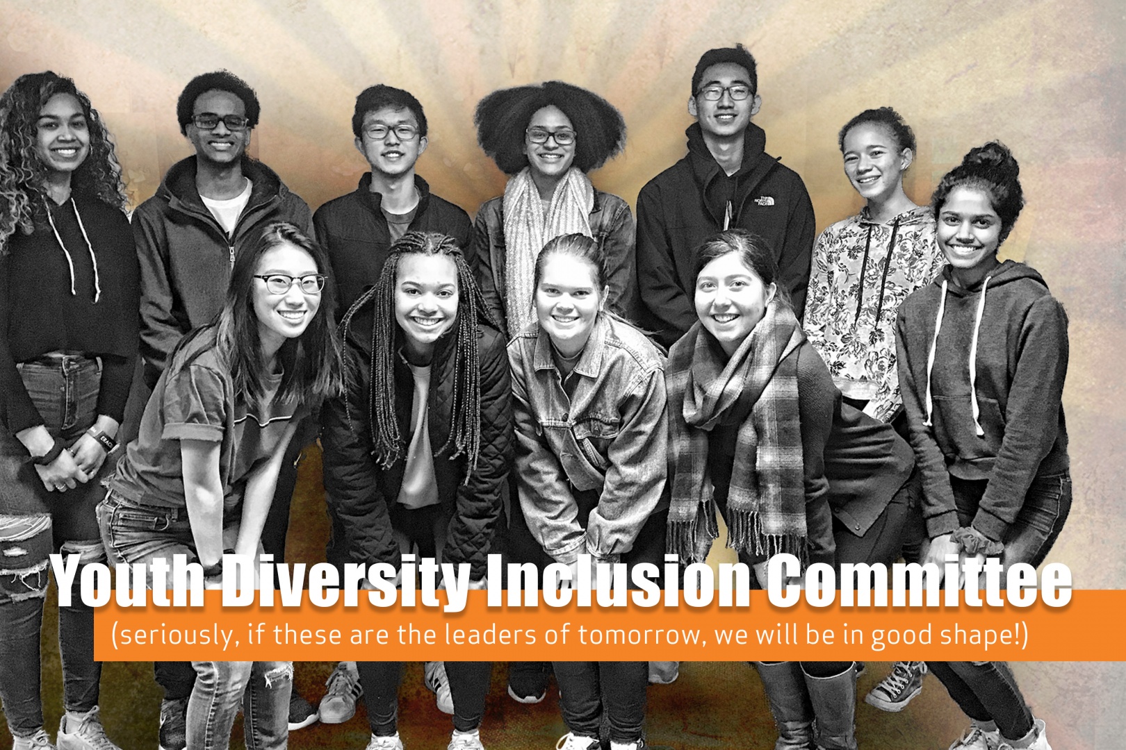 Youth Diversity Inclusion Committee