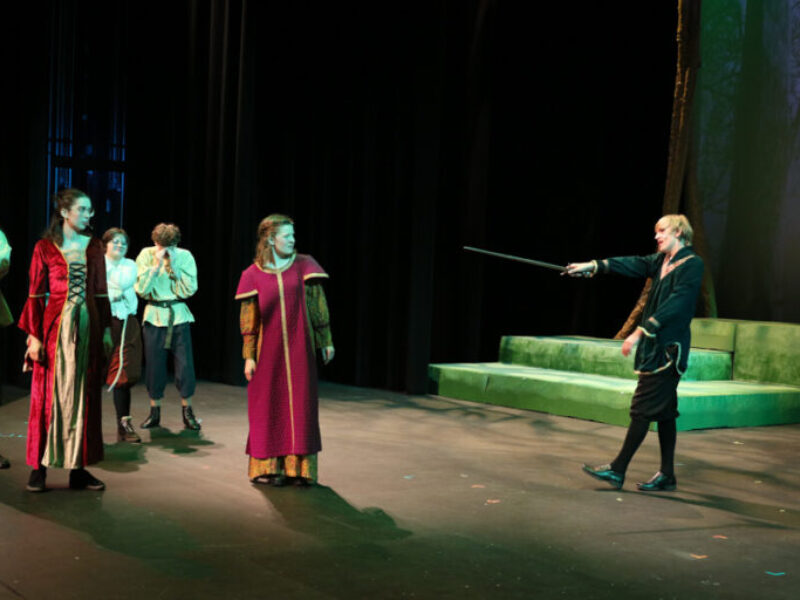 Robin Hood pointing his sword at a crowd